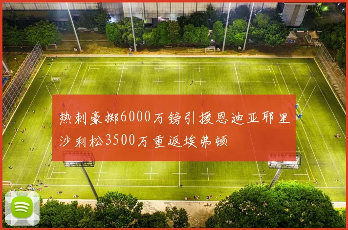 热刺豪掷6000万镑引援恩迪亚耶里沙利松3500万重返埃弗顿