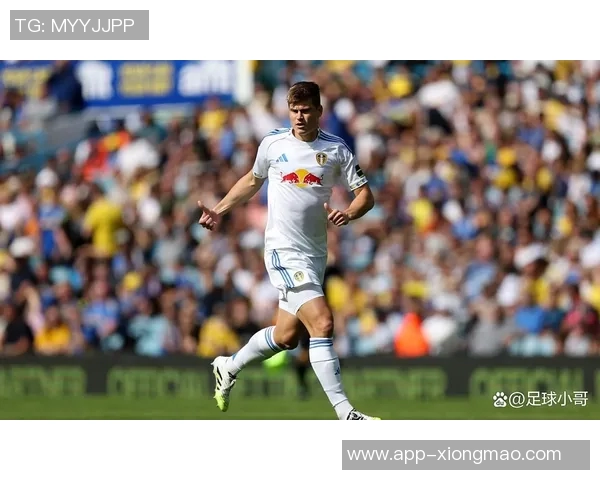 利兹联球迷两度向热刺球员投掷物品或将遭遇高额罚款