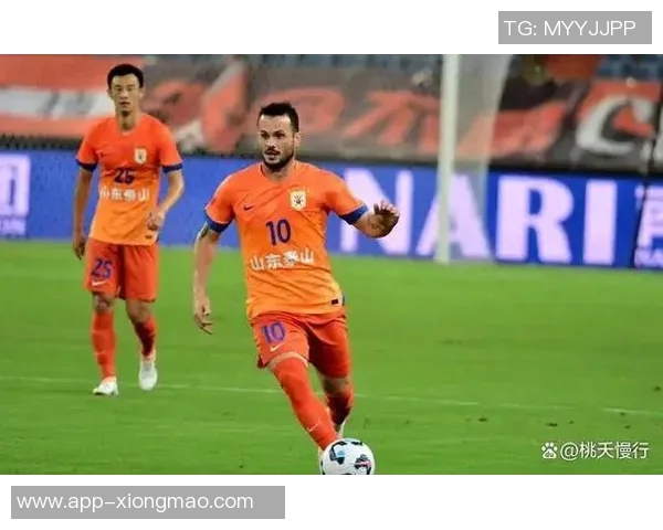 鲁媒分析瓦科留队可能性泰山队计划引进外援中卫与中场球员