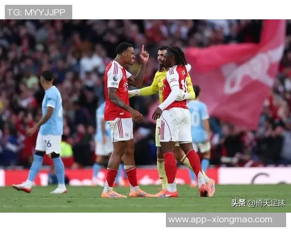 希勒评选本赛季英超最佳阵容阿森纳曼城切尔西桑德兰各有代表