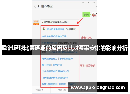 欧洲足球比赛延期的原因及其对赛事安排的影响分析