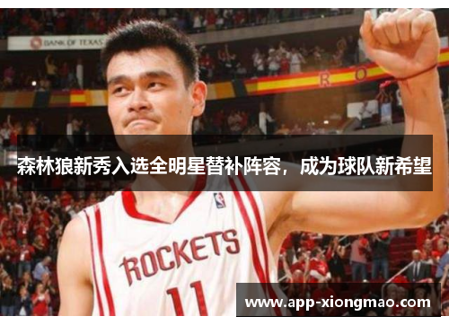 森林狼新秀入选全明星替补阵容，成为球队新希望